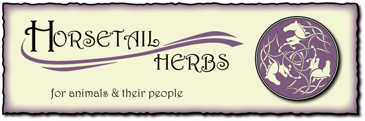 Horsetail Herbs Banner